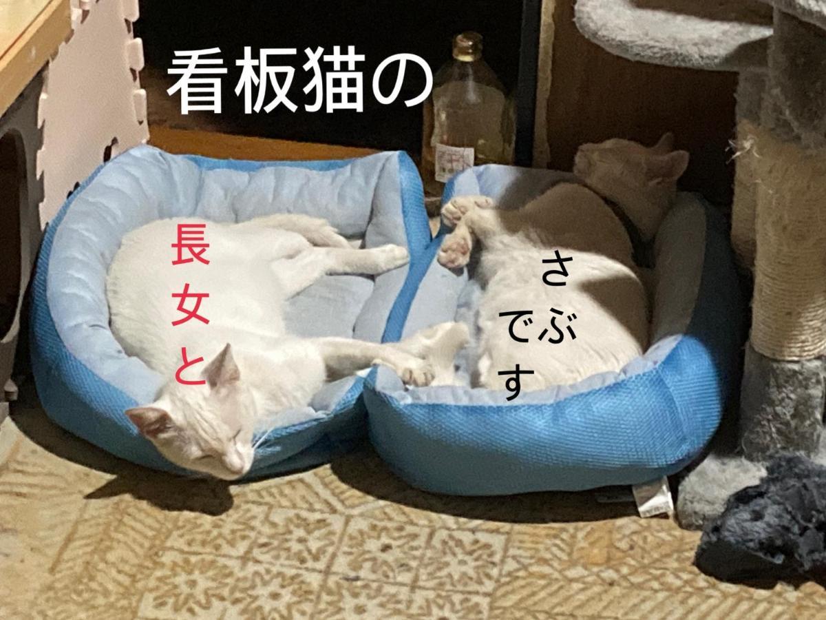 Guest House Salt Beach Yokkaichi Exterior photo